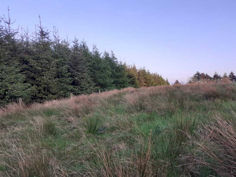 Sold 45.425 Acre / 18.383 Hectare Farm at Drumanespic, Bailieborough