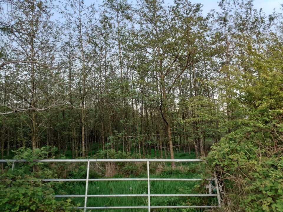 Sold 45.425 Acre / 18.383 Hectare Farm at Drumanespic, Bailieborough