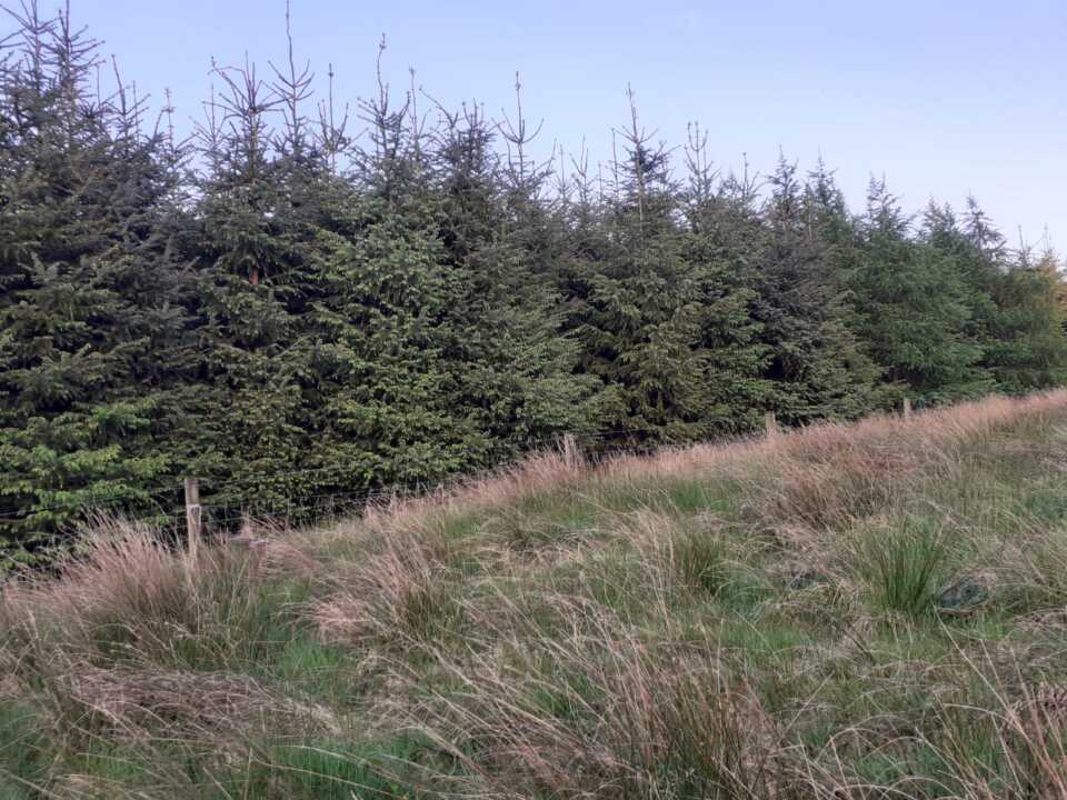 Sold 45.425 Acre / 18.383 Hectare Farm at Drumanespic, Bailieborough