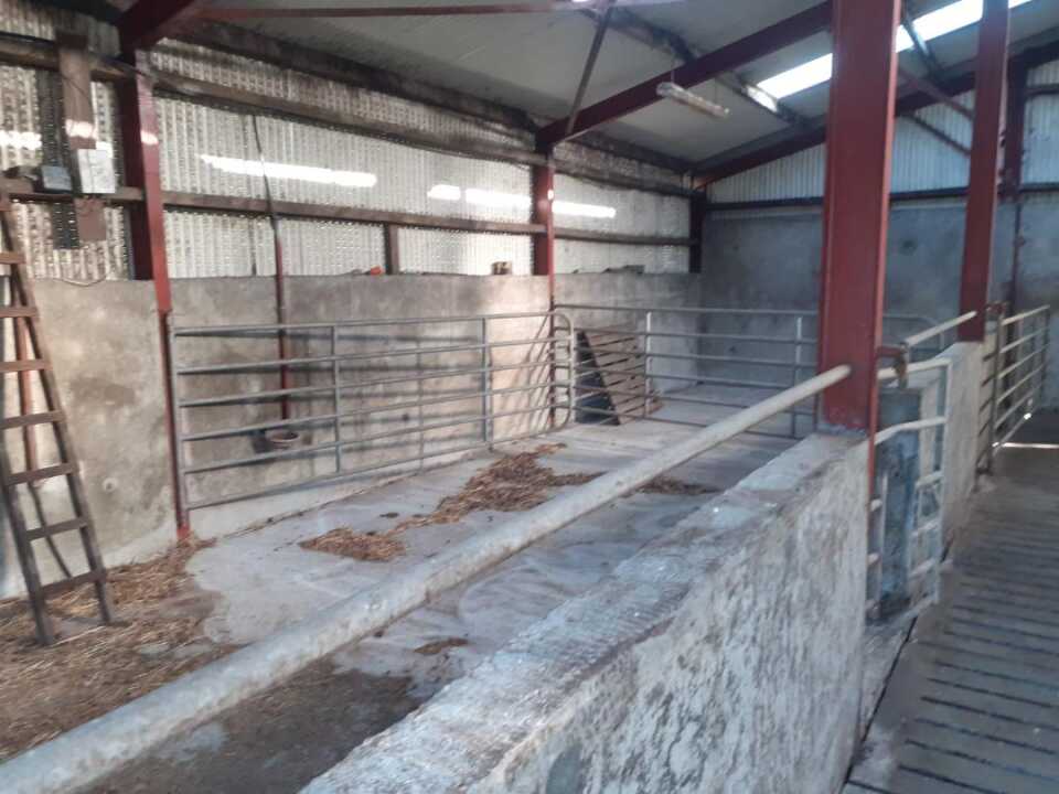 Leased 29.1 Acres at Derrydamph, Bailieborough, Co. Cavan - Image 3