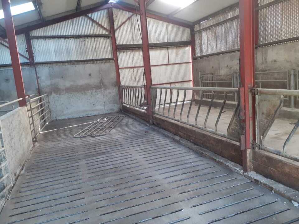Leased 29.1 Acres at Derrydamph, Bailieborough, Co. Cavan - Image 4