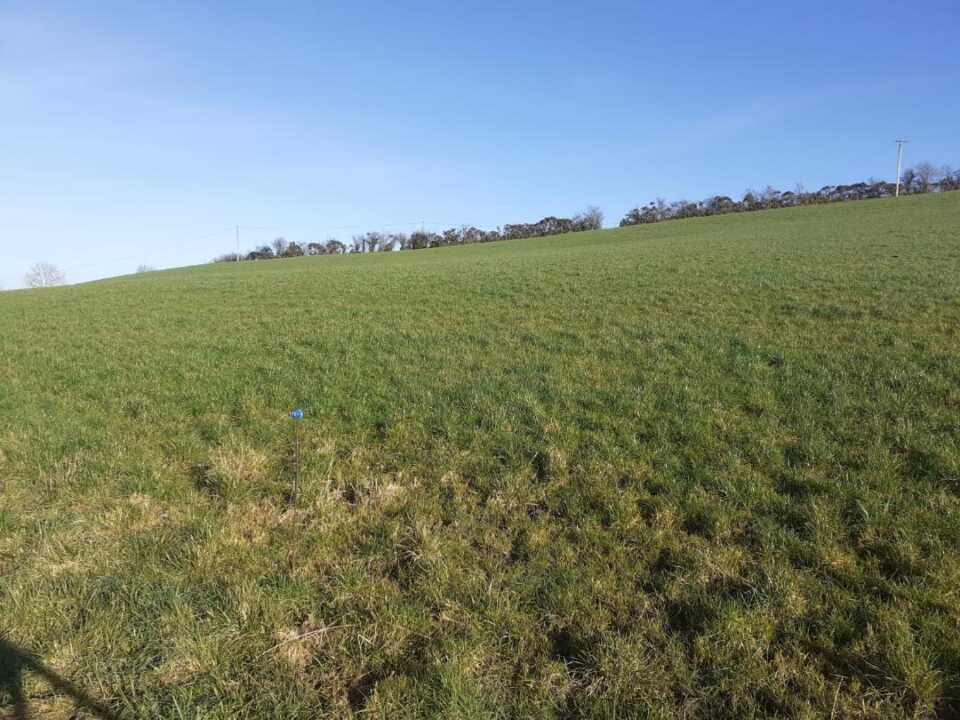 Leased 29.1 Acres at Derrydamph, Bailieborough, Co. Cavan