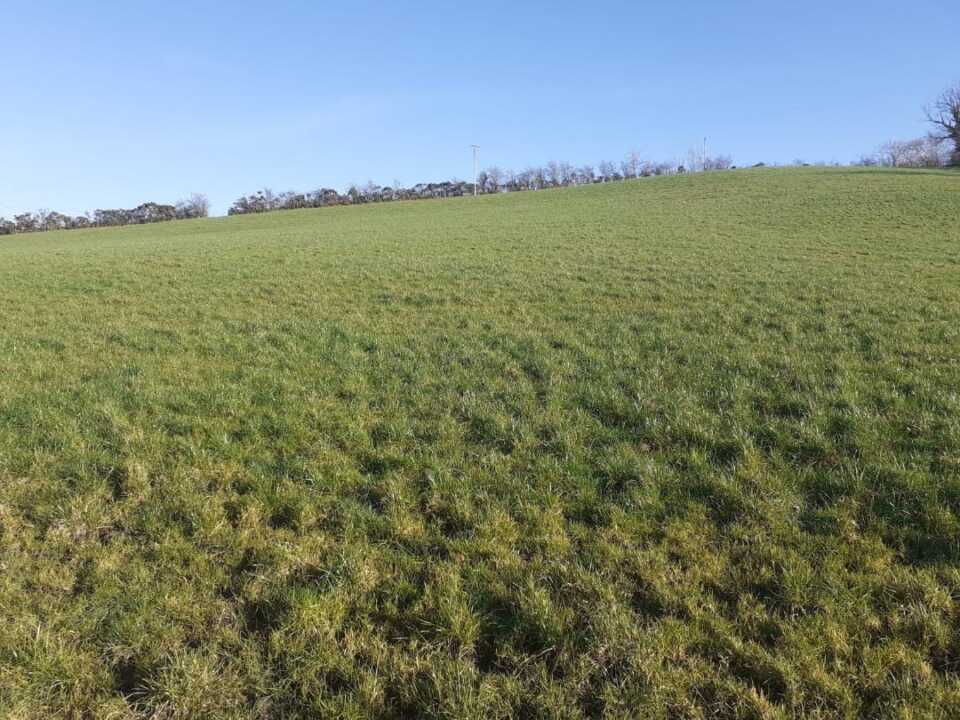 Leased 29.1 Acres at Derrydamph, Bailieborough, Co. Cavan - Image 7