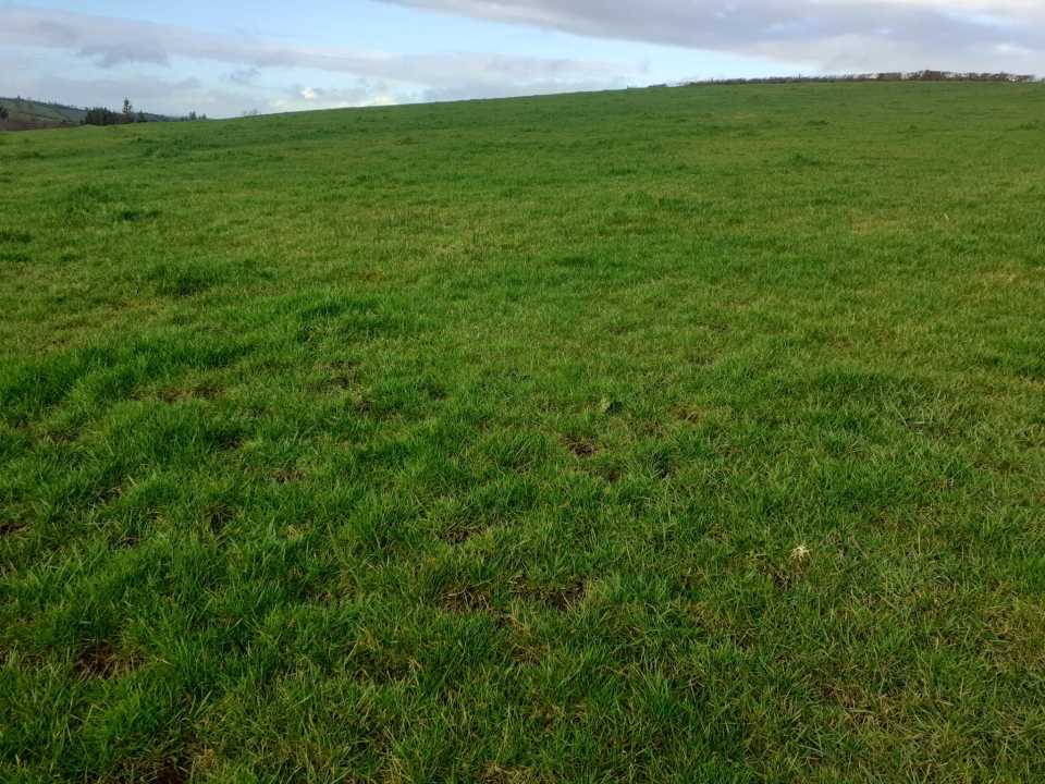 Sale Agreed on 24.66 Acre Farm with Sheds at Nolagh, Shercock, Co. Cavan - Image 5