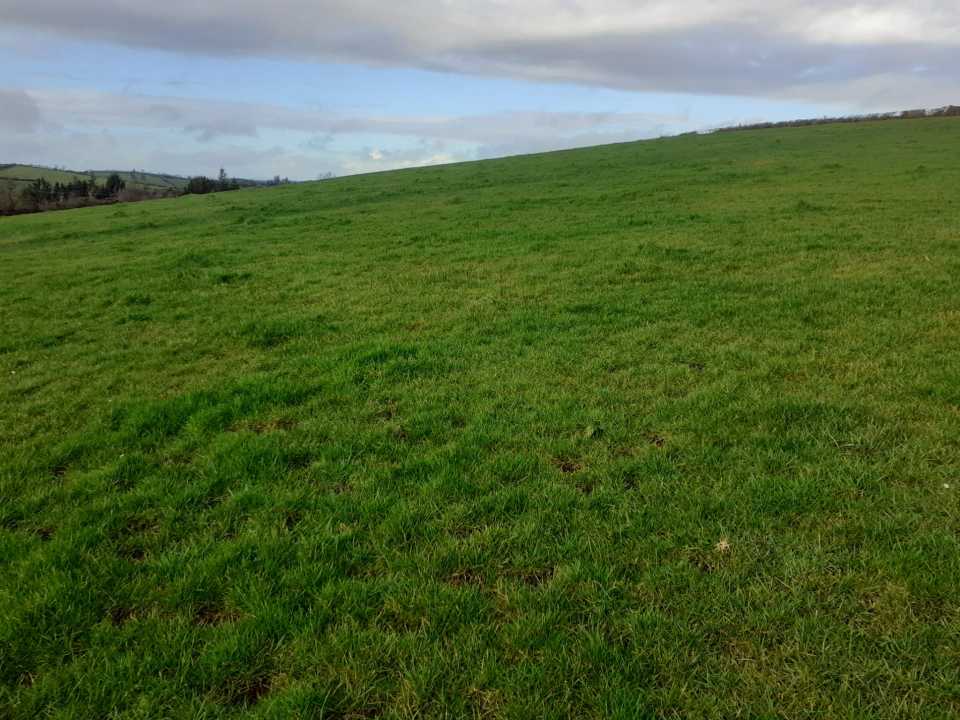 Sale Agreed on 24.66 Acre Farm with Sheds at Nolagh, Shercock, Co. Cavan - Image 2